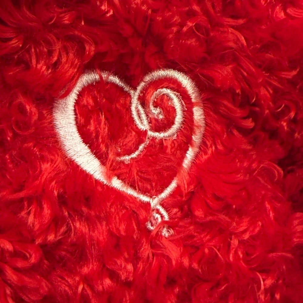 Build-A-Bear Red Hugs and Kisses Teddy Bear Valentine Plush Heart Swirl 16 inch - Picture 6 of 8